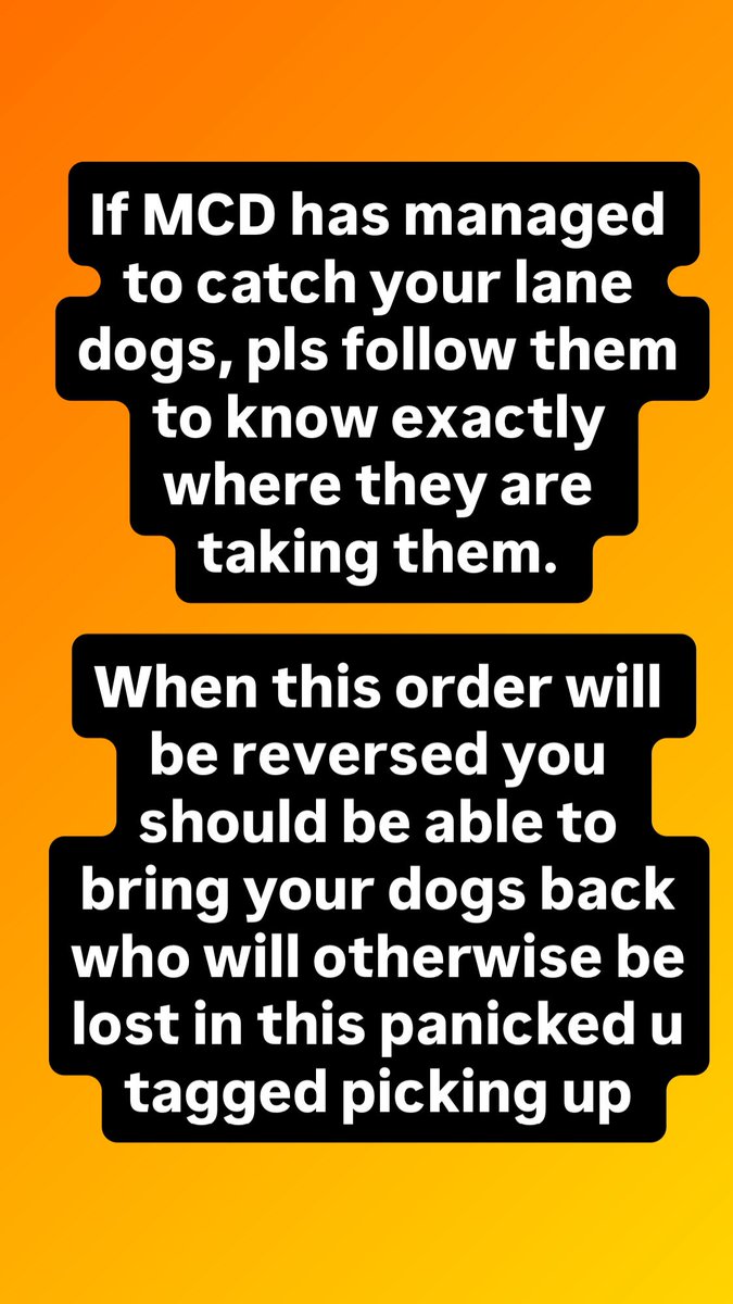PandeyKamna's tweet image. #savedelhidogs2025 #justicefordogs