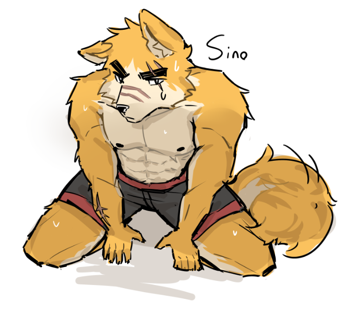 SinoNotFound tweet media