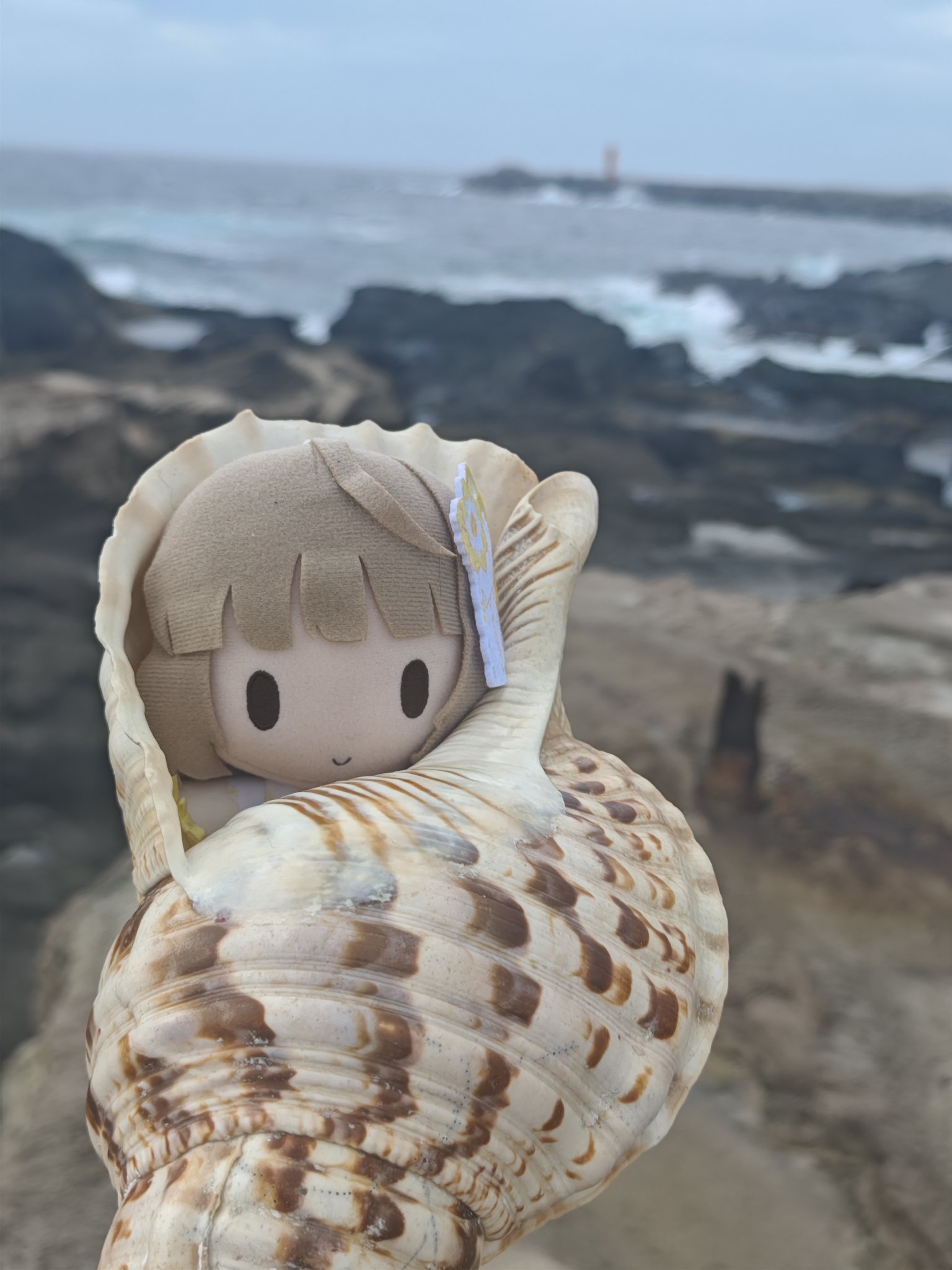 きむわいぱー on X: 