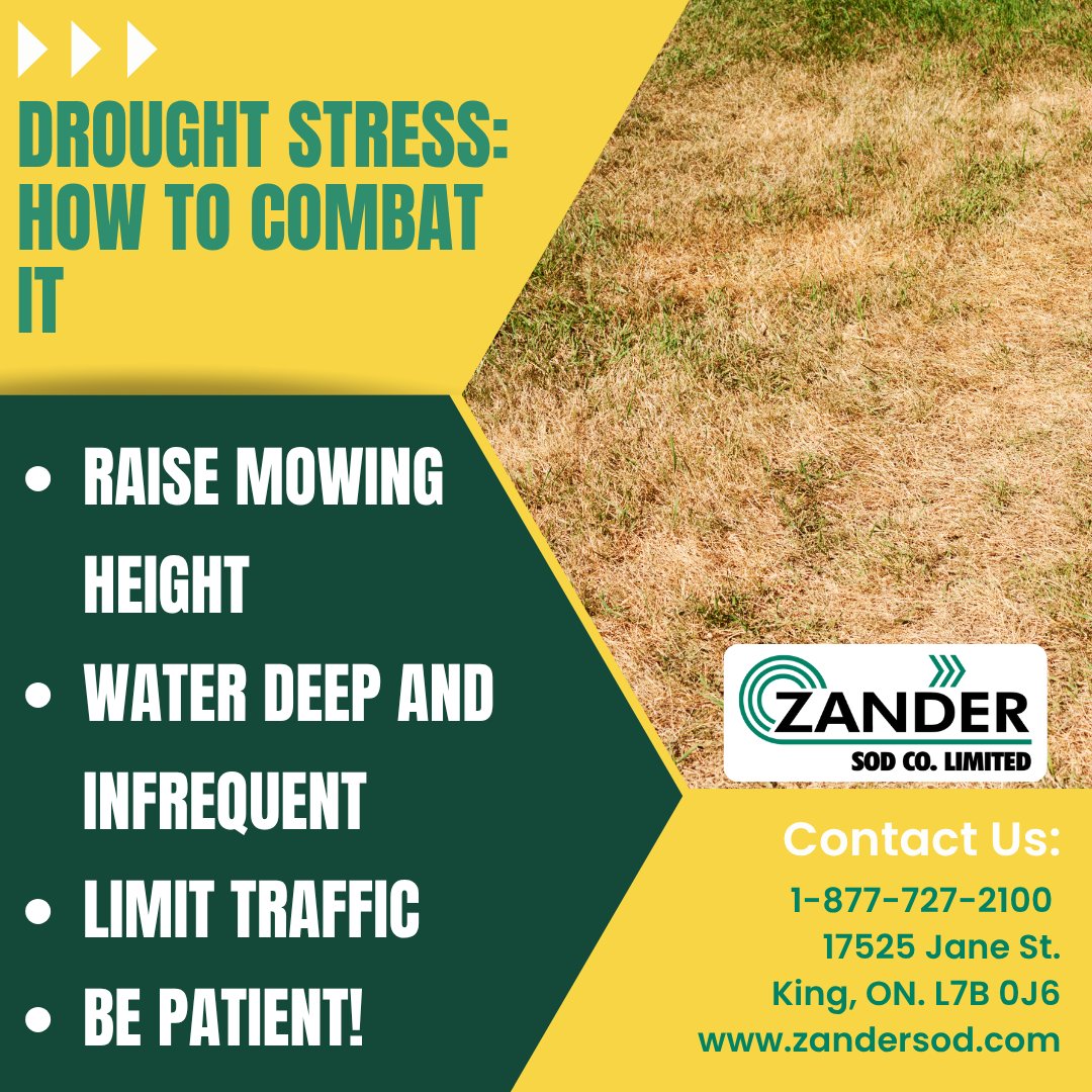 This summer we have seen multiple heat waves &amp;  little to no rain. How do we keep our grass happy during these times? Follow these steps:
💦 Raise Mowing height
💦 Water deep &amp; infrequent
💦 Limit traffic
💦 Be patient

Contact us at zandersod.com/contact/ for more information.