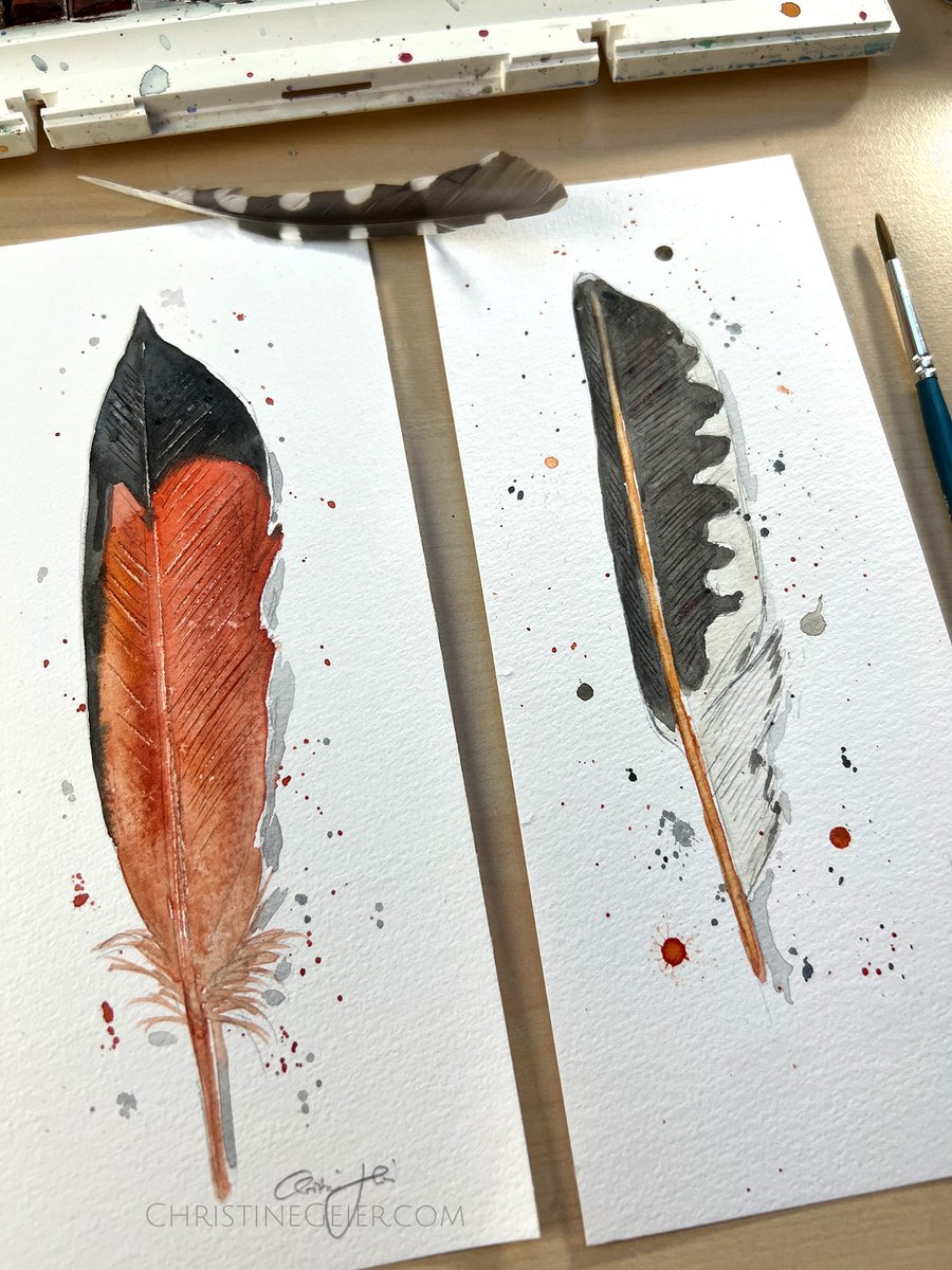 ChristineG_'s tweet photo. Two feathers of a Northern flicker woodpecker of Kanada, a commission. 
https://t.co/Yjfw58mZ8g 
#woodpecker #art #watercolor #watercolour #Aquarell #featherart #Federkunst #Federn #Lesezeichen #bookmarks https://t.co/RoFIOdqCpq