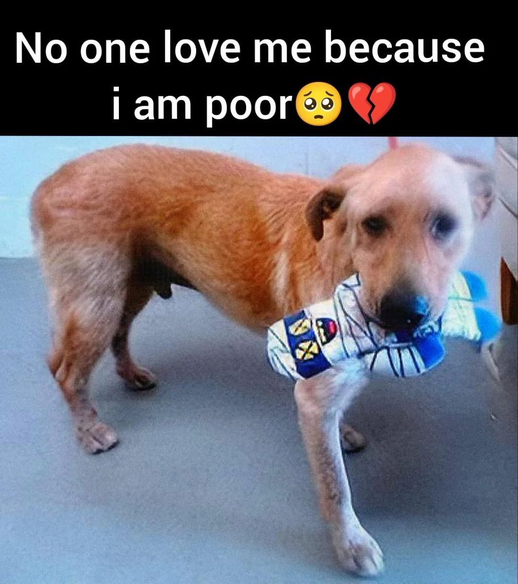 Beyond_theleash's tweet image. 