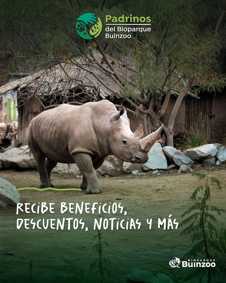 🐾 Con tu apadrinamiento, cada aporte cuenta 🐒🌱: mejoras su calidad de vida y apoyas programas sociales y proyectos que protegen nuestra flora y fauna. ¡Únete a esta causa y sé parte del cambio!  👉 padrinos.buinzoo.cl (Link en la bio)