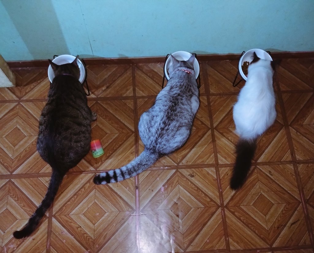 My 💜 is full 🥰