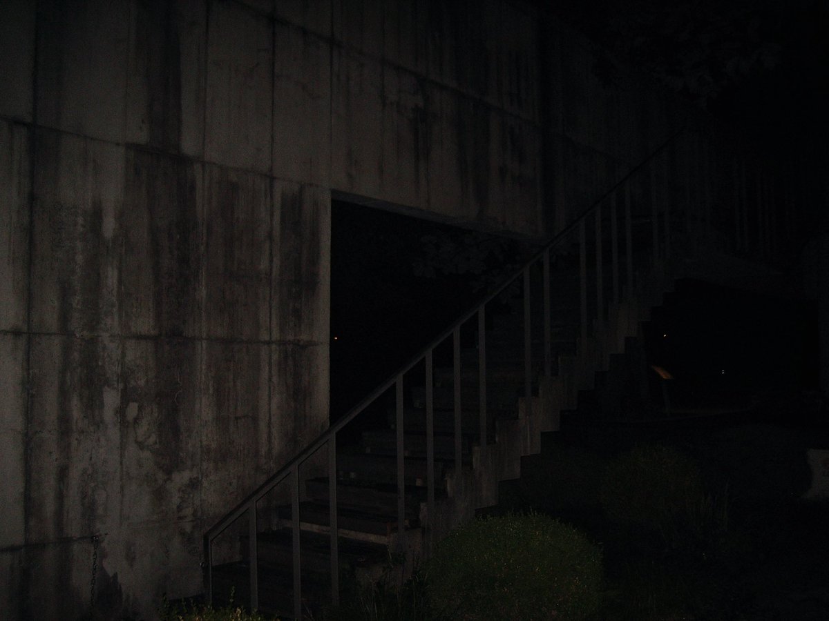 sinidvs's tweet image. 