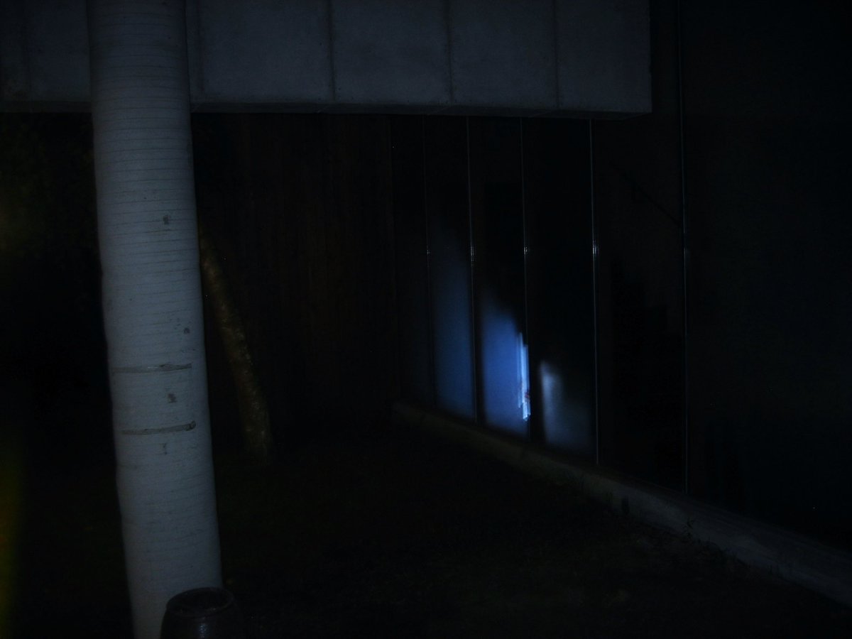 sinidvs's tweet image. 