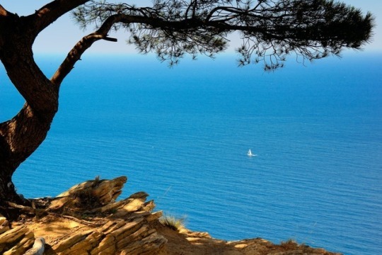 Cassis, France.