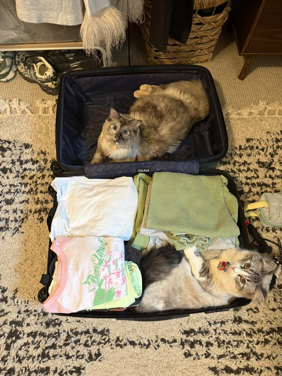 smallquillrat's tweet photo. Do Not forgot your essential Items when packing 😀☺️ https://t.co/6qrvHQz5Bd