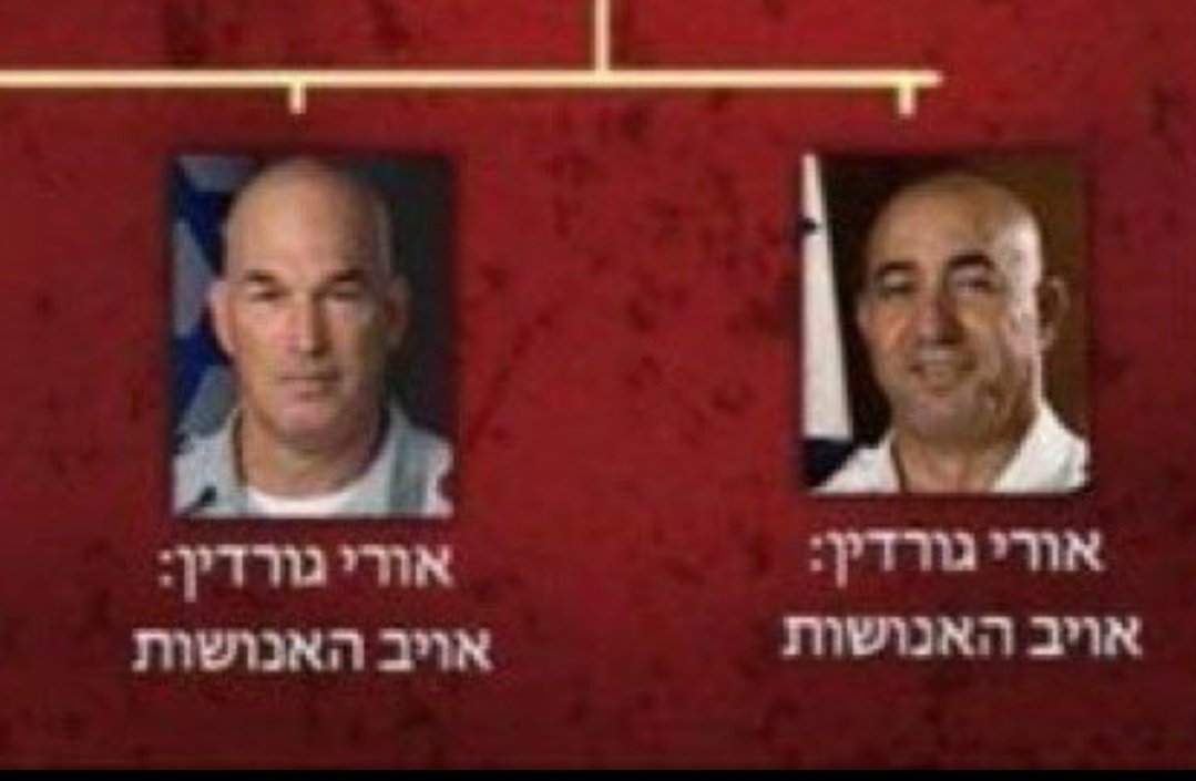 חביבי יעני tweet media