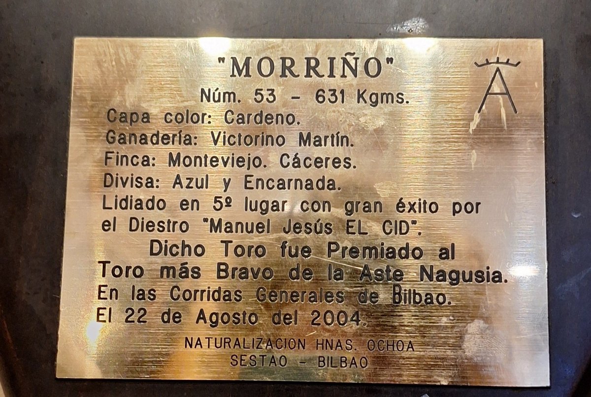 🐃 MORRIÑO 🐃

Núm. 53, 621 Kgms.

Capa: Cárdeno.

Ganadería: <a href="/victorinotoros/">Victorino Martin</a>

Finca: Monteviejo, Cáceres.

🏆 Premiado como el toro más bravo de la Aste  Nagusia en las corridas generales de Bilbao.

📅 22 de agosto de 2004.

⚔️ Lidiado por Jesús Manuel, "EL CID".