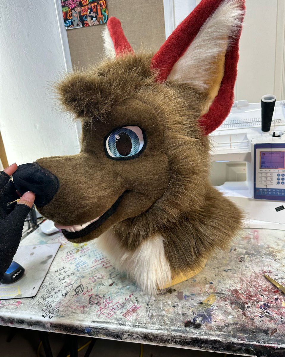 Canine OwO