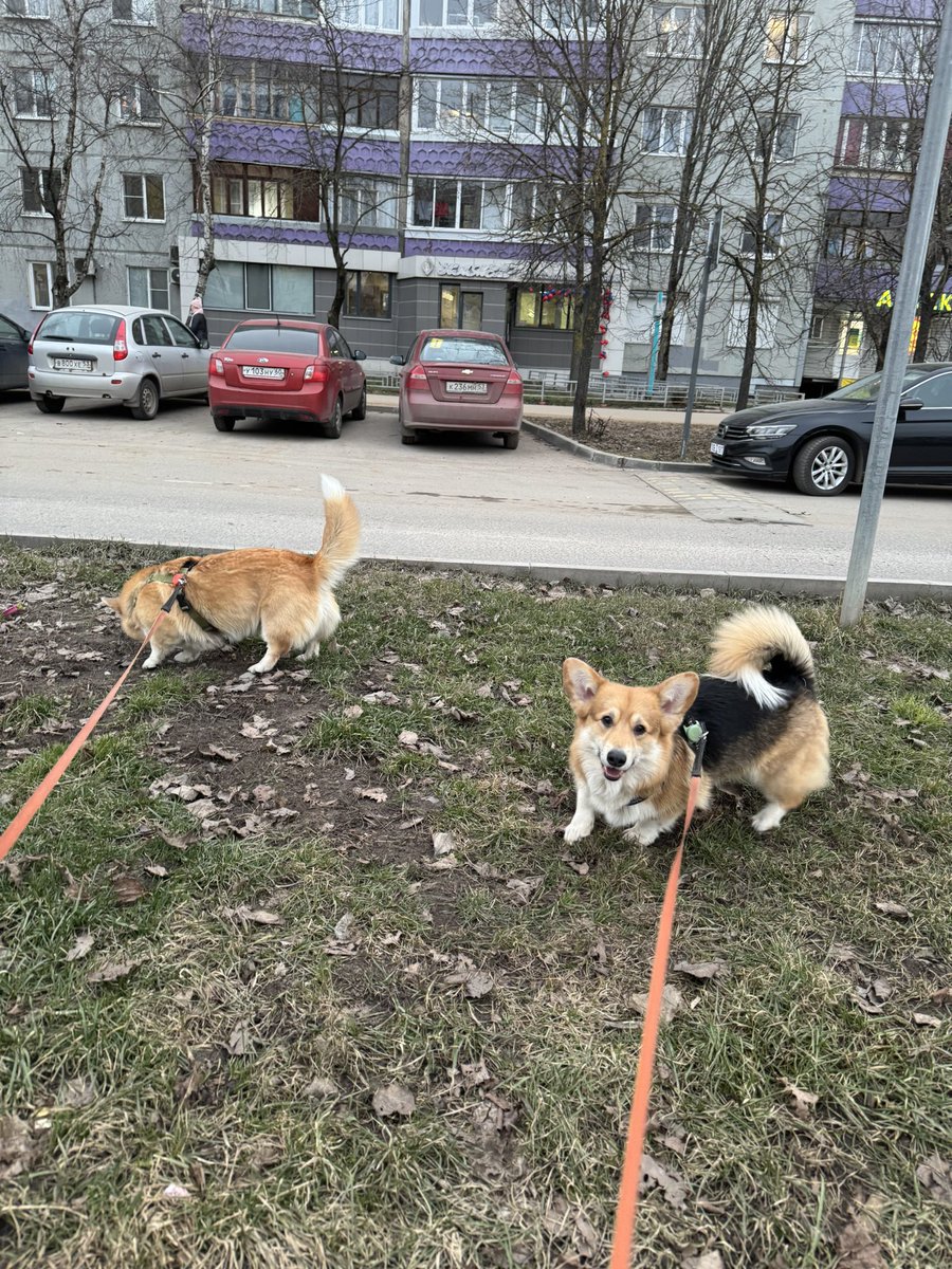 Павел Федоров tweet media