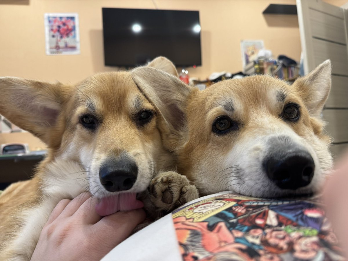 Павел Федоров tweet media