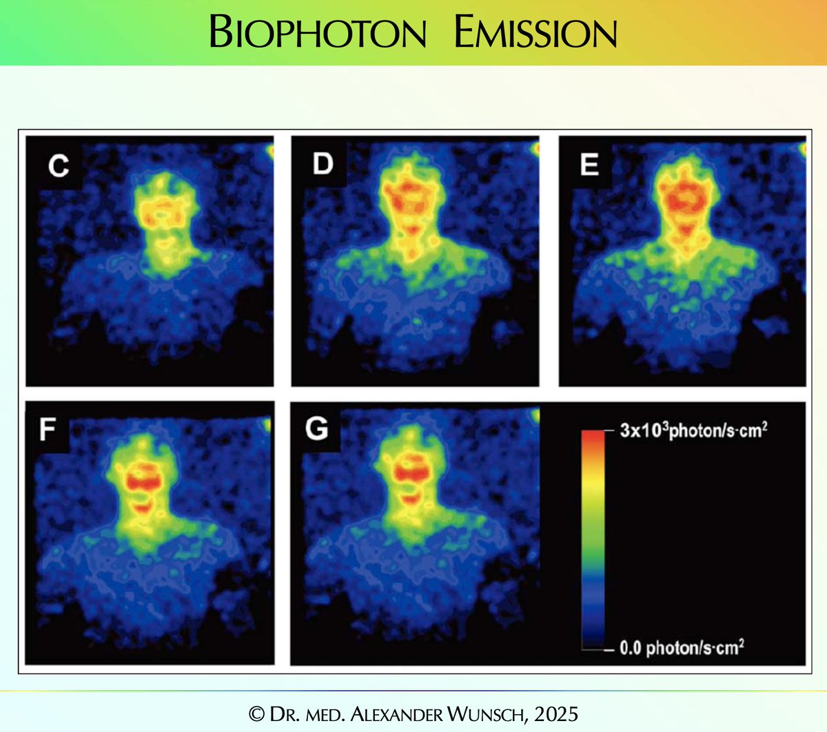 Ra Optics tweet media