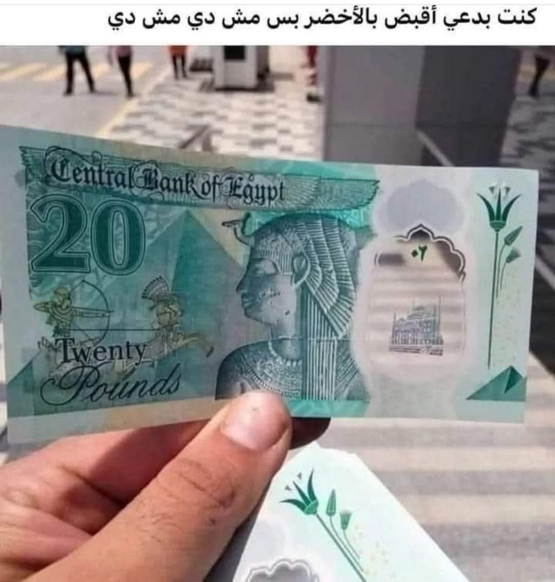 Hala_H_A_L_A_21's tweet image. مش دي مش دي 😂😂😂