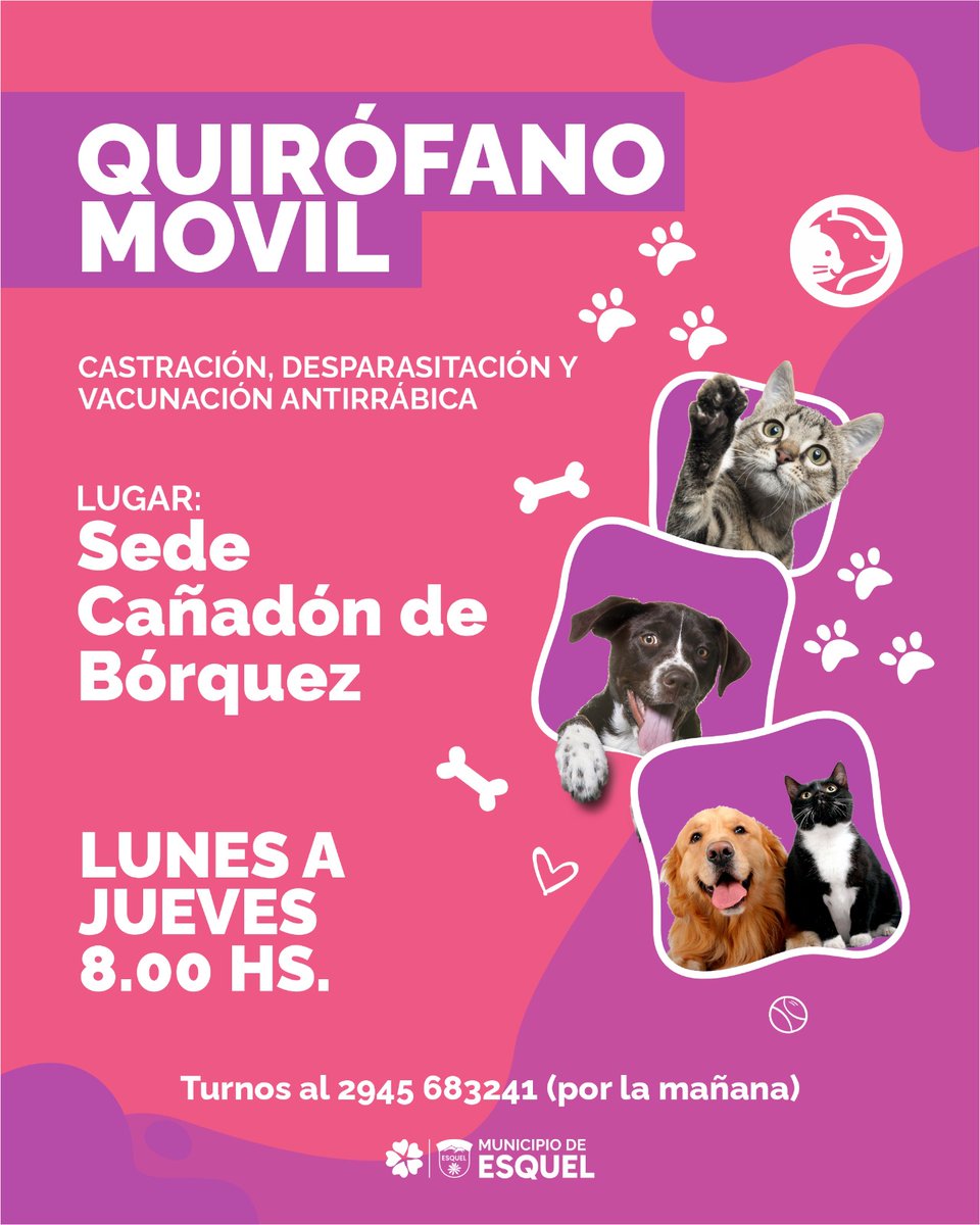 Te esperamos en el barrio Cañadón de Bórquez 🐕🐱

El servicio gratuito municipal de castración, desparasitación y vacunación antirrábica va a estar esta semana en la sede vecinal.

⏰ Lunes a jueves a las 08.00hs.

📲 Turno previo al 2945-683241 o por orden de llegada.