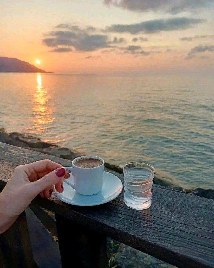 لا ترتجي مـن بايع العهد مرسـال
ولا تنتظر مـن ناكر الطيب معروف🖤✨🌹💖