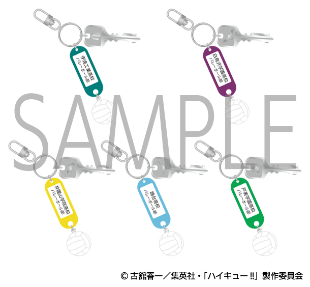 ハイキュー　トレーディング高校名付き鍵チャームキーホルダー第一弾第二弾まとめ売り 駿河屋で予約開始！12.0%OFF 【BOX】ハイキュー!! トレーディング高校