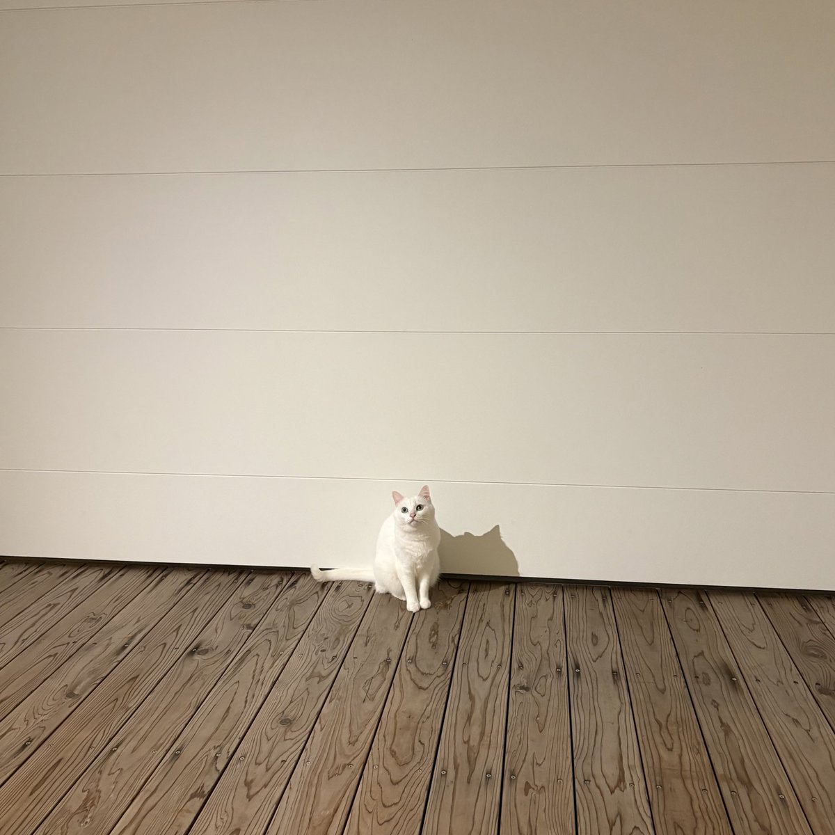 おやもち

ベランダ気持ちいいね。
九州が心配だ