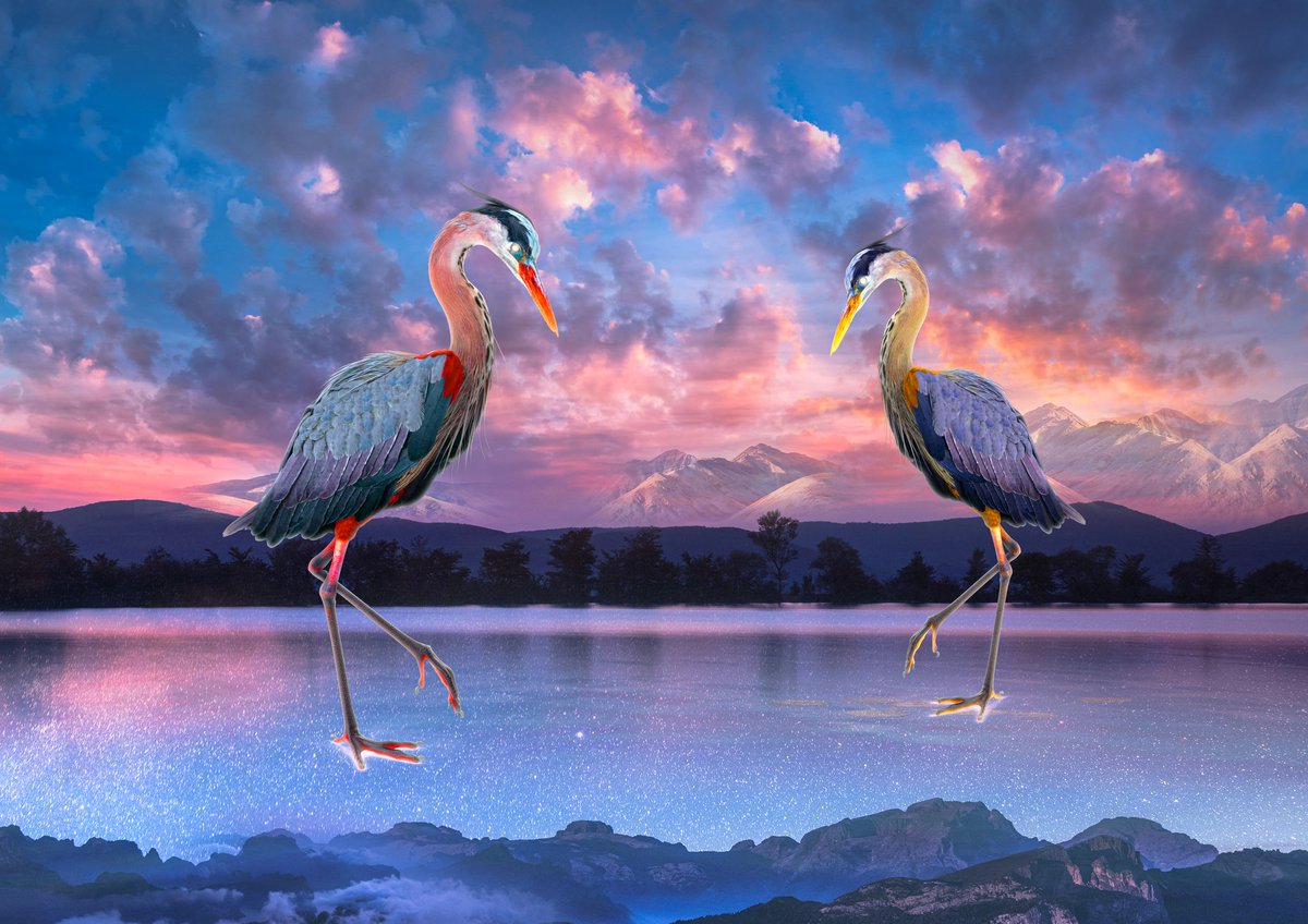 bubzspyk_d's tweet photo. New art drop! Between Two Realms
A surreal scene where majestic herons gracefully step across a shimmering sky-lake, gazing down curiously at whales below.

This piece is now available as a high-quality digital download.
Click the link in my bio to my shop!🥳#digitalart #bubzspyk https://t.co/AWKiBlihxA