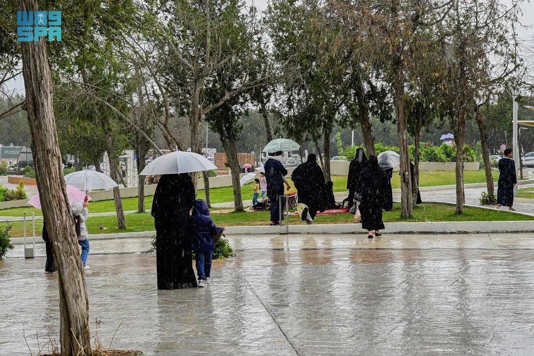 أمطار وضباب الباحة يرسمان لوحة صيفية ساحرة تجذب الزوار.
spa.gov.sa/N2376871
#واس_جودة_الحياة