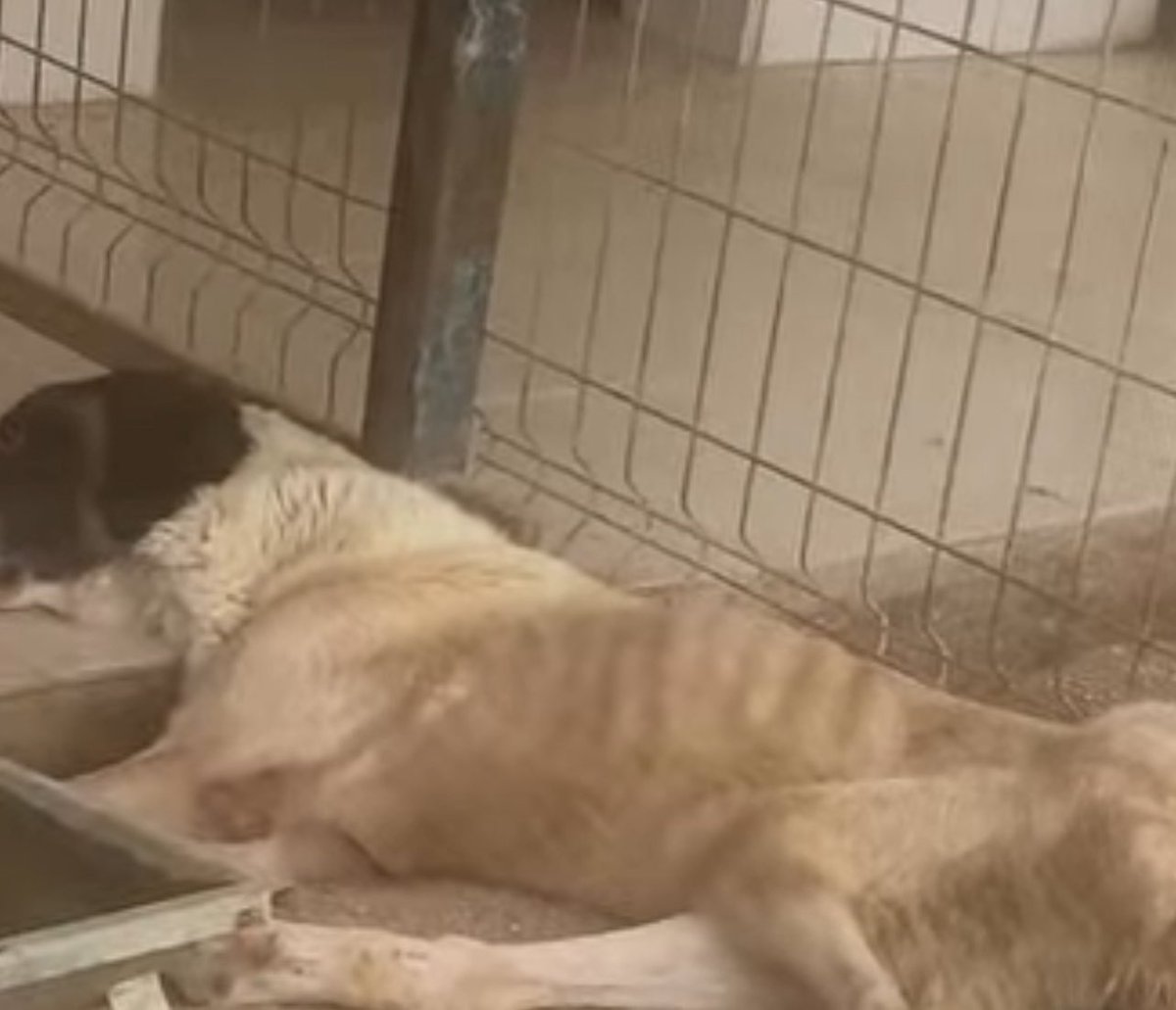 Yilmaz Heusinger - Search  X