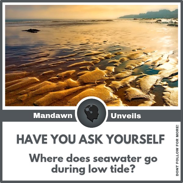mandawnunveils's tweet image. ◾&quot;WHERE DOES SEA WATER GO DURING LOW TIDE?&quot;◾

Discuss your thoughts below👇

#mandawnunveils 
#lowtide
#wheredoesitgo
#hardquestions
#why
#amazingfacts
#unsolvedmysteries 
#conspiracytheory 
#trending