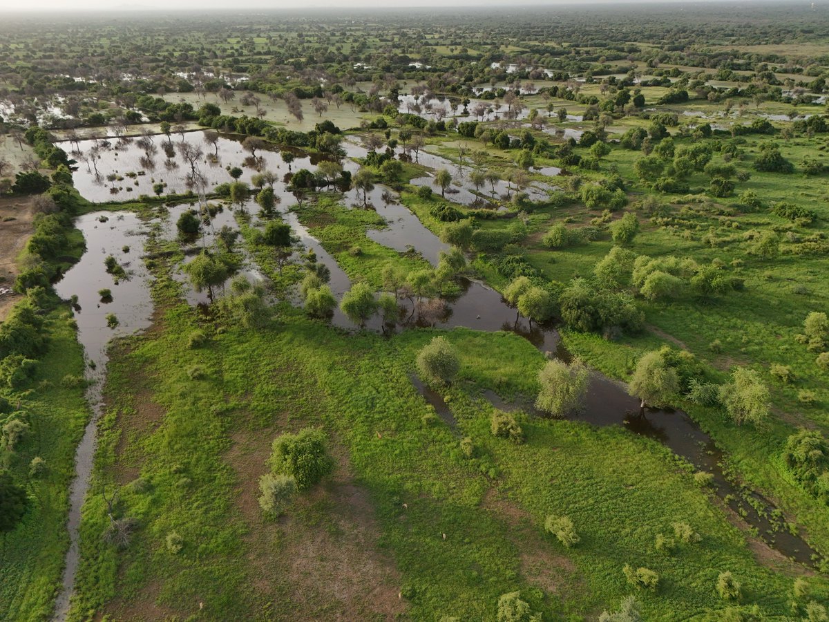 ये जहर क्यों घोला हमारी ज़िंदगी में सरकार।

आँखे खोलकर देखो हिरण मर रहे है

पेड़ जल रहे है

लोग मर रहे हैं 
<a href="/RajCMO/">CMO Rajasthan</a> <a href="/BhajanlalBjp/">Bhajanlal Sharma</a> जी हमें जोजरी के प्रदूषण से तुरंत छुटकारा चाहिए नहीं तो वो हनुमान ही अब उम्मीद बन रहा है सबकी जब से घोषणा की है तब से आपके विधायक जी गॉंव में बैठे है