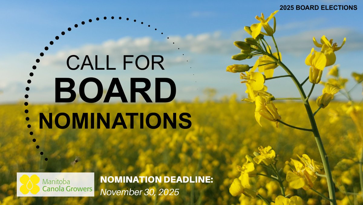 Leadership starts on the farm.
Run for the MCGA Board of Directors. Bring your voice. Shape the future of canola.
No board experience needed — just your farm perspective.
 🔗 canolagrowers.com/about-mcga/ele…
#MbAg #Canola
