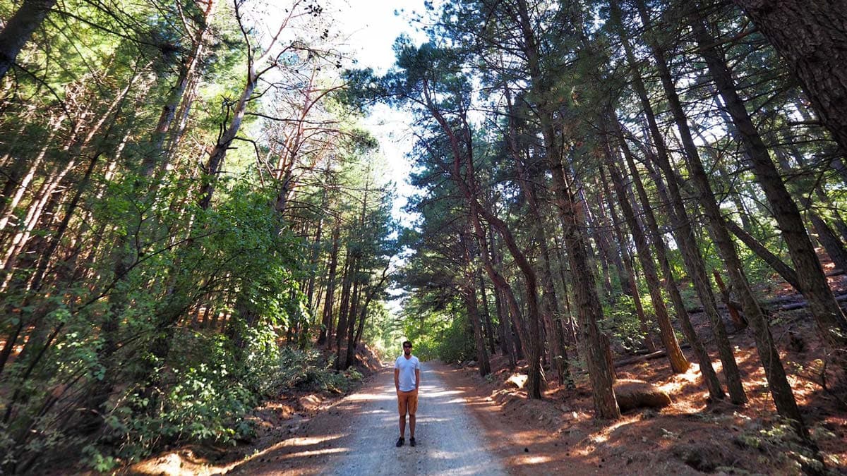 Yanan ormanı yeşillendirmeye kalksanız soldaki fotodaki gibi olacak bu gün doğan çocuklar  eğer yaşayabilirse 80-90 yaşına gelince sağdaki gibi olacak.80 sene yağmuru tutamıyacak su membağı oluşamıyacak oksijen veremiyecek kısaca BİTİK BİR TABİAT ELİMİZE KALACAK durum bu kadar