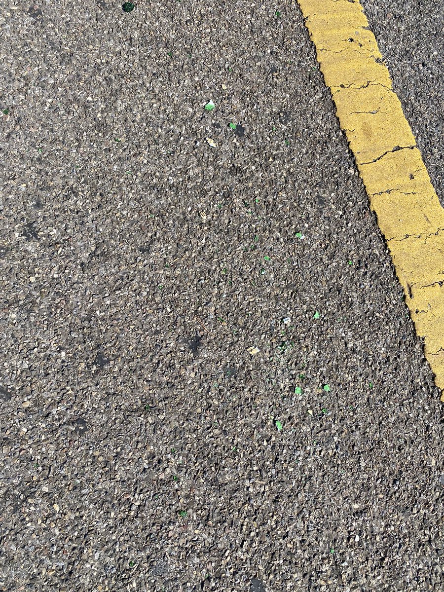 Patrick Stähler 📯🏔🌤 @pstaehler.bsky.social tweet media