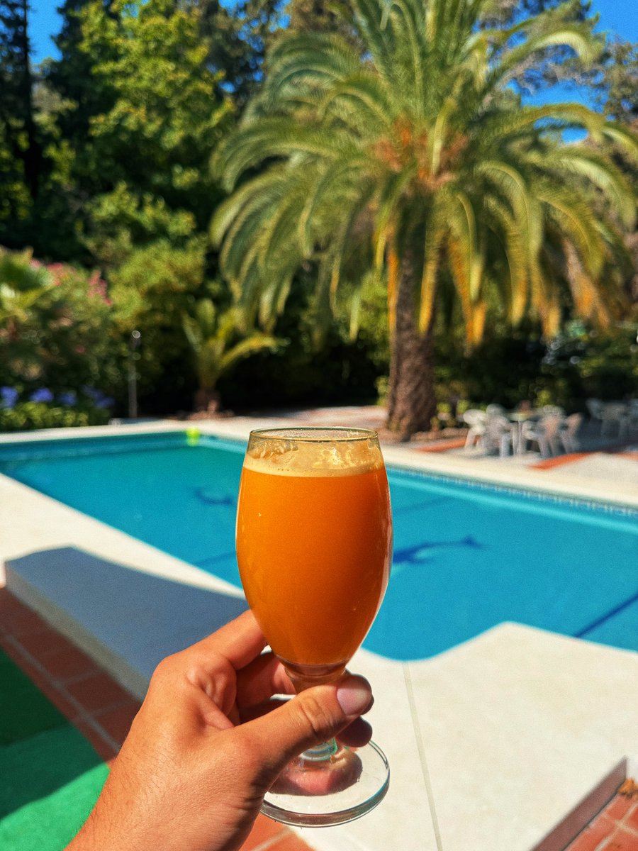 ⚡️🌞 Sol Brah 🌞🐬 tweet media