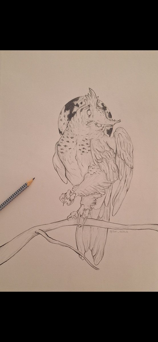 Another one of my older sketches 🦉🪶
#Owl