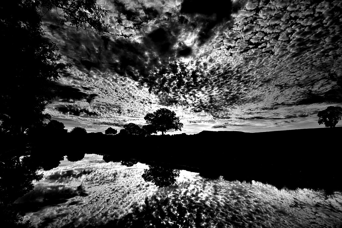 Silhouettes and reflections. Sunrise over the Macclesfield Canal near #Congleton this morning.
#blackandwhitephotography #landscapephotography #photograghy