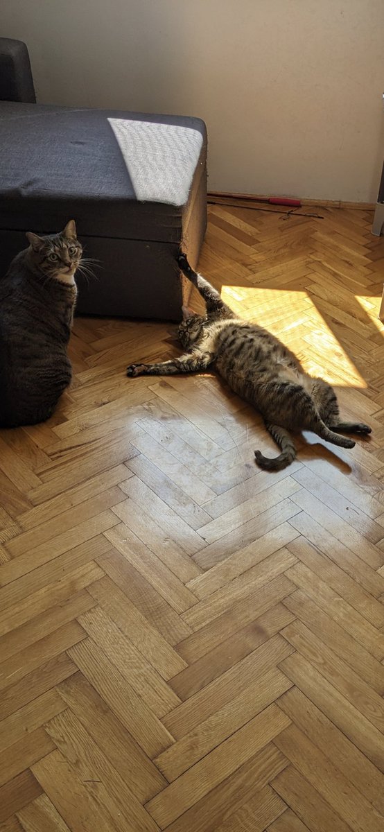 Ammm...what did I interrupt...