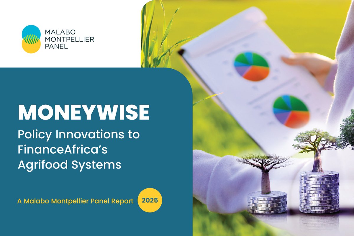 Just Released!

The 16th Malabo Montpellier Panel report — MONEYWISE: Policy Innovations to Finance Africa's Agrifood Systems — examines the needs and barriers to financing Africa's agrifood systems, as well as the strategic financial interventions being implemented to leverage