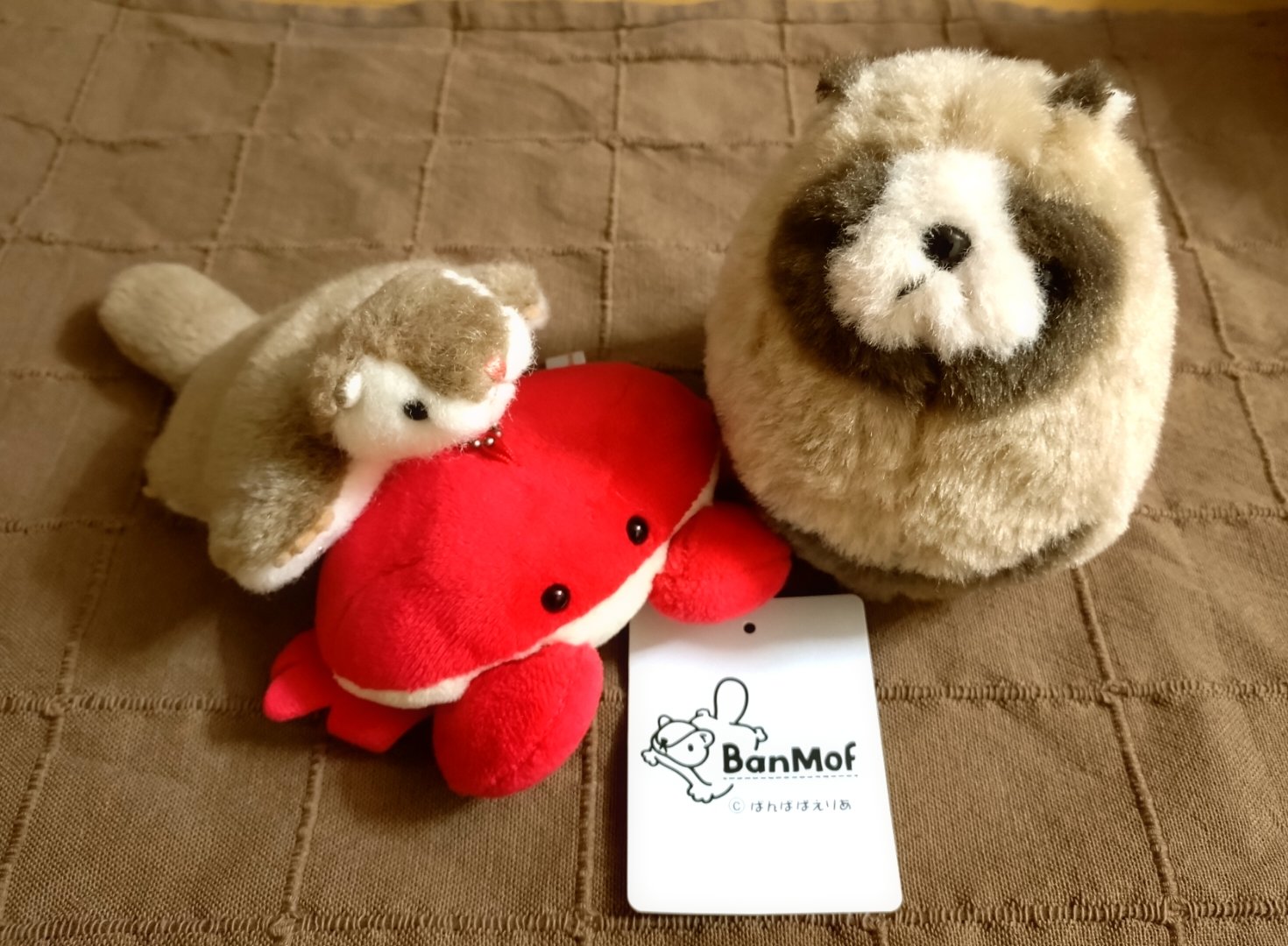 BanMof ばんばぱえりあ ラッコ ブラウン ぬいぐるみ BanMof ばんばぱえりあ ラッコ ブラウン ぬいぐるみ - メルカリ