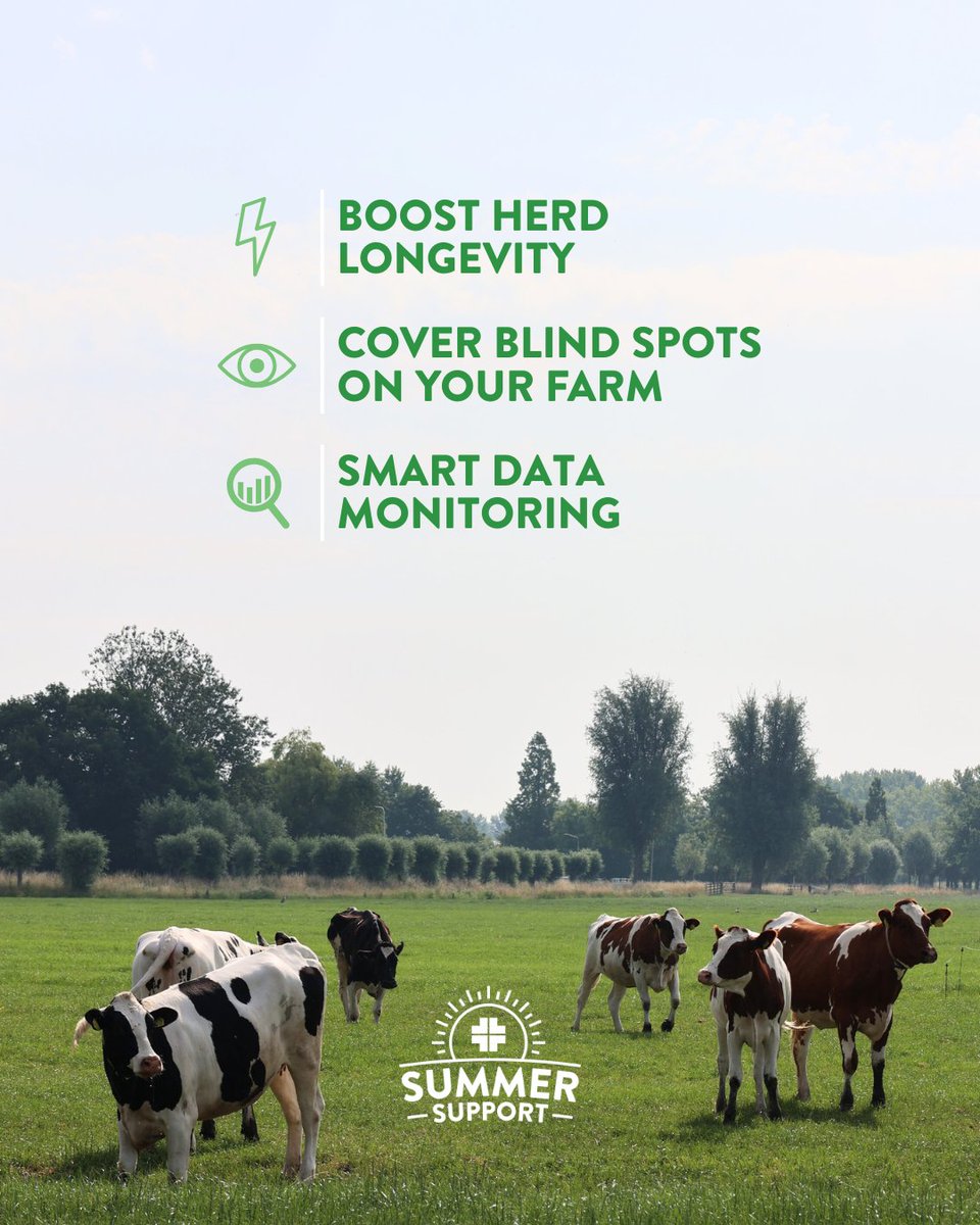 AHVint's tweet image. 𝐖𝐡𝐢𝐜𝐡 𝐬𝐞𝐚𝐬𝐨𝐧𝐚𝐥 𝐜𝐡𝐚𝐥𝐥𝐞𝐧𝐠𝐞𝐬 𝐚𝐫𝐞 𝐲𝐨𝐮 𝐟𝐚𝐜𝐢𝐧𝐠 𝐭𝐡𝐢𝐬 𝐬𝐮𝐦𝐦𝐞𝐫? ☀️

With AHV Summer Support, you get the expert service you need to keep your herd healthy and productive all season long!

ahvint.com/summer-support/

#AHV // #SummerSupport