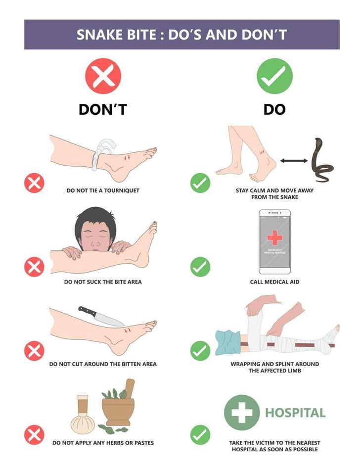 FellowNurses1's tweet image. Snake Bite First Aid: Stay calm, immobilize the limb, and rush to hospital—NO tourniquets, cutting, or sucking!

#SafetyFirst #PatientEducation

fellownurses.com