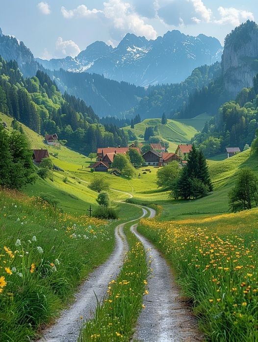 Nature Explorer (@natureexpl96980) on Twitter photo 