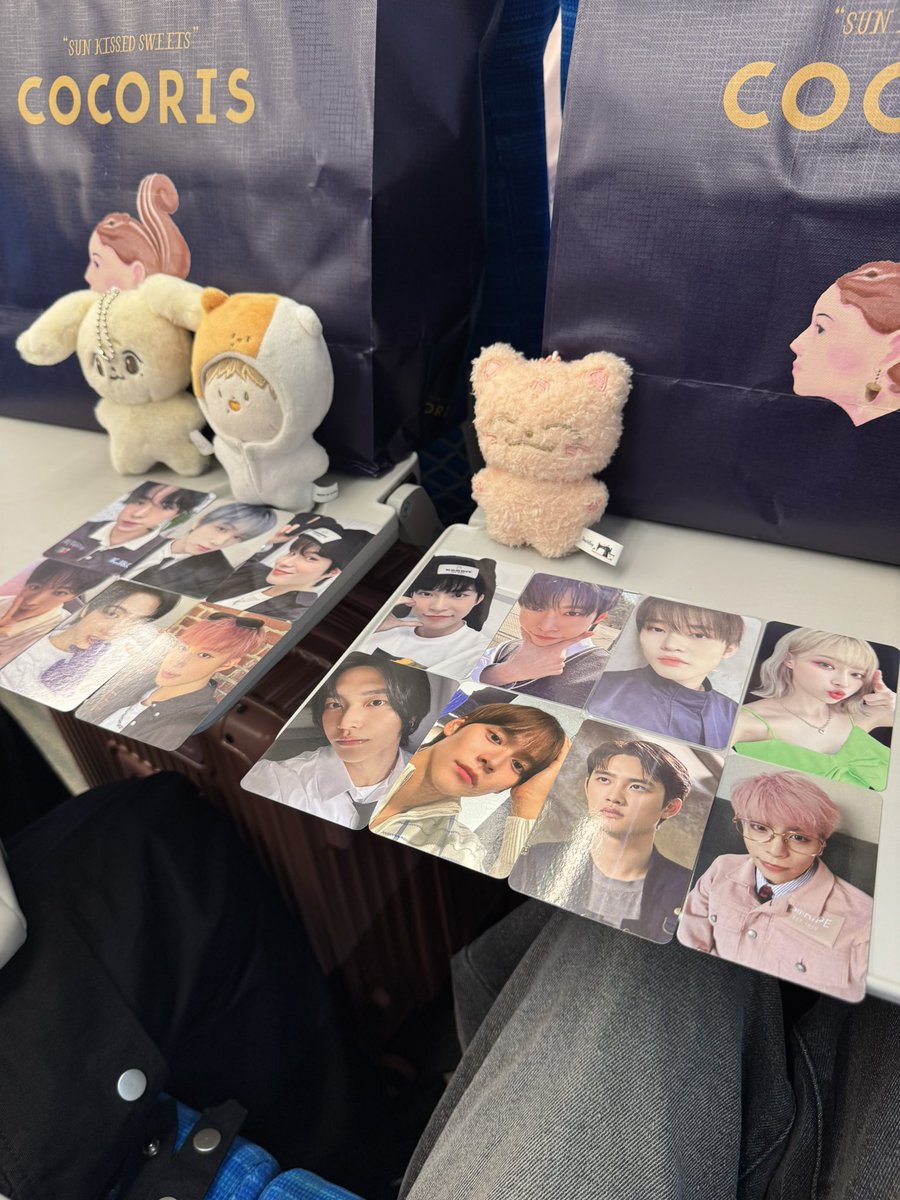 clele__'s tweet photo. トレカ持ってるだけの選抜推したちとSM��ンバー並べた🥵🥵🥵
私たちの青春EXOとSHINee戻ってきてくれ‼️‼️‼️
楽しかったよ〜2日間ありがとう⭐️💖
💖@lil0205_ 💖 https://t.co/dPLiUEXUUk