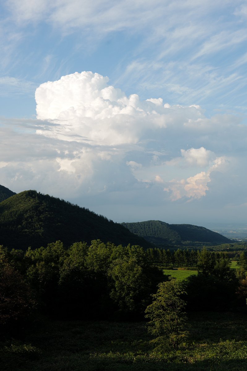 「夏雲」