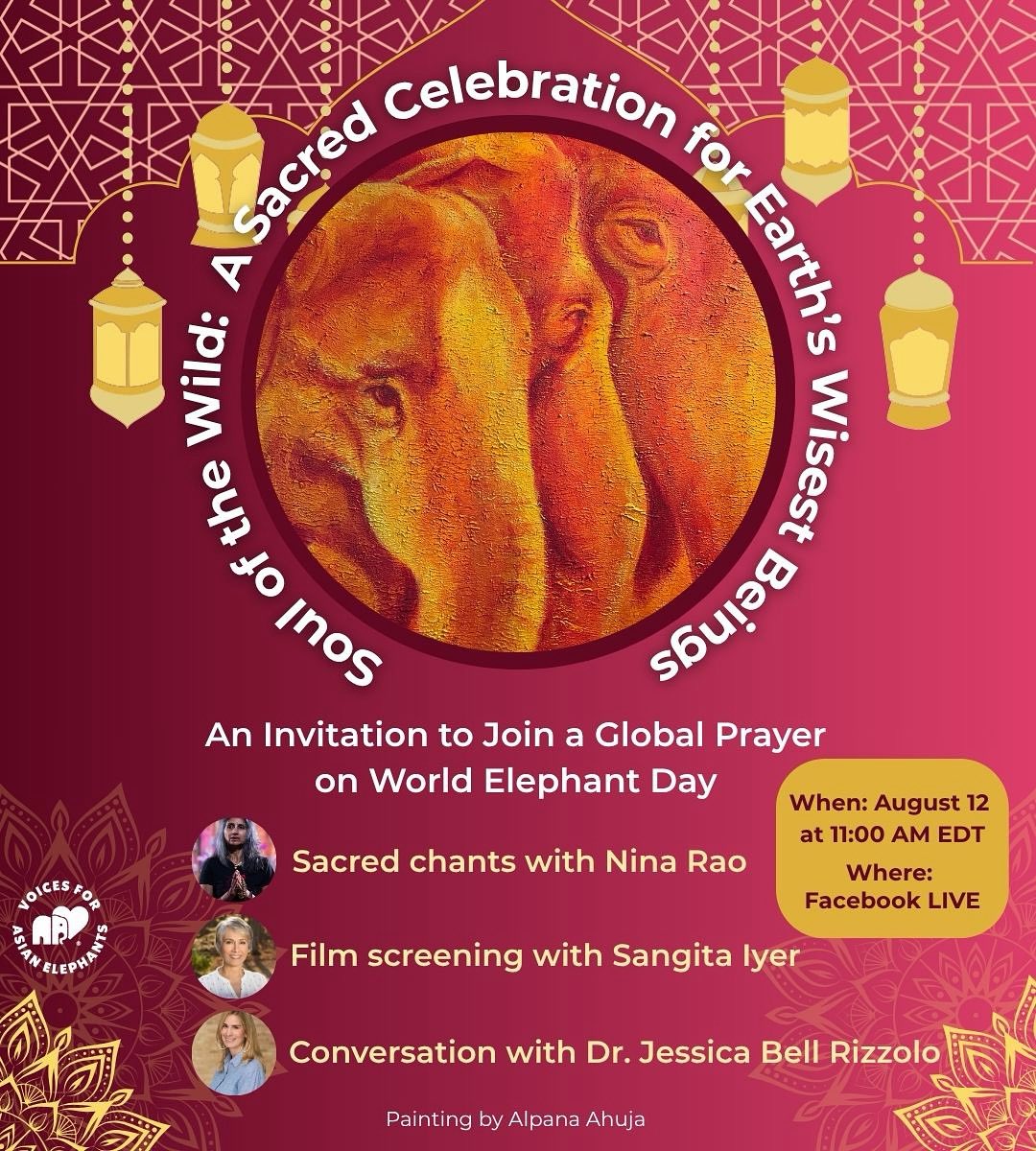 🌍 This #WorldElephantDay, join us for a divine LIVE event like never before.

🕉️ Sacred Ganesha chants by Nina Rao
🎥Screening of short film, Prisoners for Life by Sangita Iyer
🧠 Insights from Dr. Jessica Bell Rizzolo on elephant trauma
📅 Aug 12 | 11 AM EDT | FB LIVE