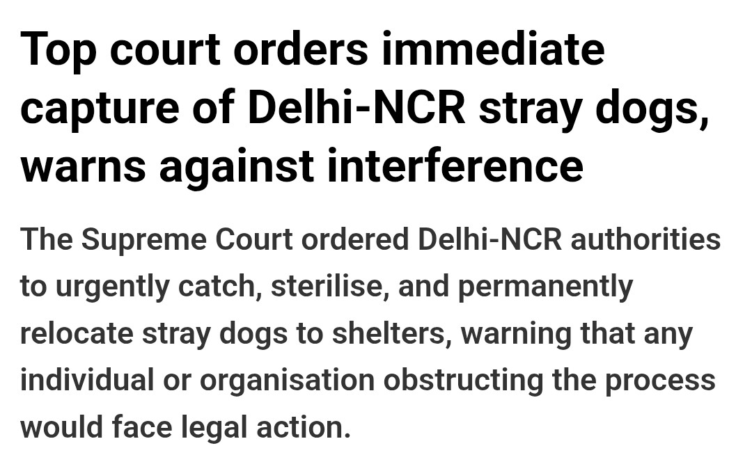 akashkool96's tweet image. Instead of compassion &amp;amp; scientific solutions, we’re choosing mass capture &amp;amp; permanent removal of stray dogs. This is cruel, shortsighted &amp;amp; against the spirit of coexistence. #JusticeForStrays #HumaneSolutions
#SupremeCourtofIndia
#JusticeForDogs
#MoFAHD