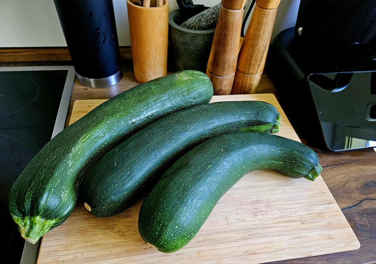 Basti4Life (@basti4life) on Twitter photo Nachbarin hat gegönnt.
Jetzt nur noch herausfinden, was man mit knapp 4 kg Zucchini alles anstellen kann... Nachbarin hat gegönnt.
Jetzt nur noch herausfinden, was man mit knapp 4 kg Zucchini alles anstellen kann...