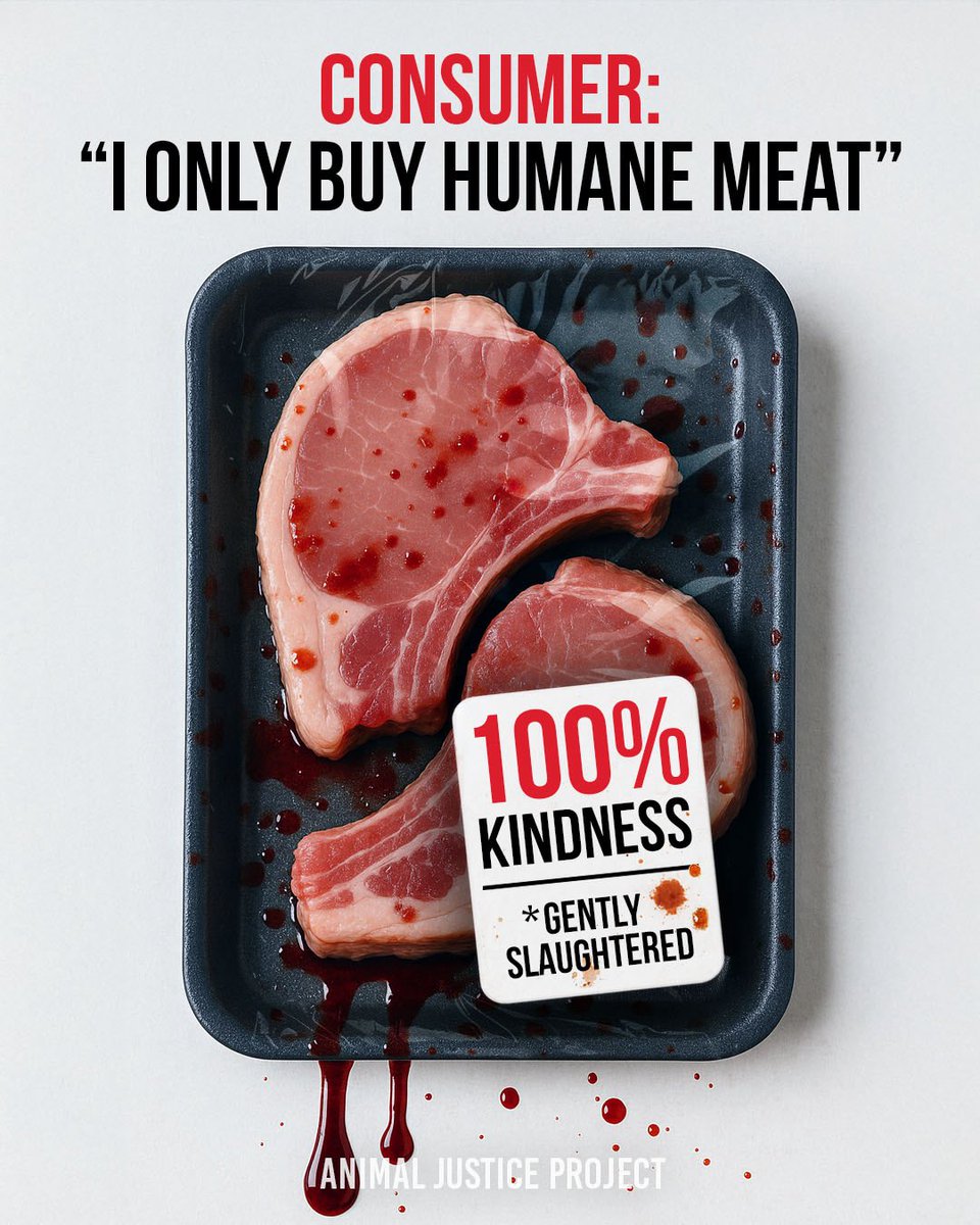 ajpReact's tweet image. &apos;Humane meat&apos; is a marketing term. Not a moral one.

You can dress up death with kind sounding words, but it’s still death.

#HumaneMeat #AnimalJusticeProject #VeganForTheAnimals
