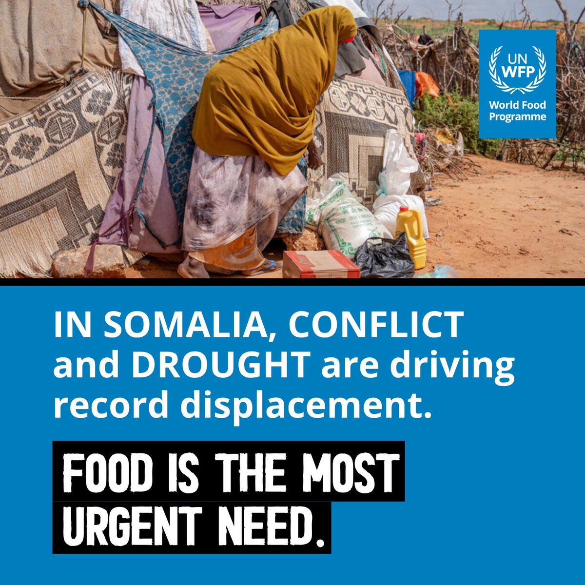 WFP Somalia (@wfpsomalia) on Twitter photo ⚠️Over 230,000 people have been displaced this year due to conflict and drought.
🚨4 m face critical levels of hunger and 1.8 m children are at risk of acute malnutrition.
<a href="/WFP/">World Food Programme</a> is currently reaching just 20% of people in urgent need, leaving millions without life-saving support ⚠️Over 230,000 people have been displaced this year due to conflict and drought.
🚨4 m face critical levels of hunger and 1.8 m children are at risk of acute malnutrition.
<a href="/WFP/">World Food Programme</a> is currently reaching just 20% of people in urgent need, leaving millions without life-saving support