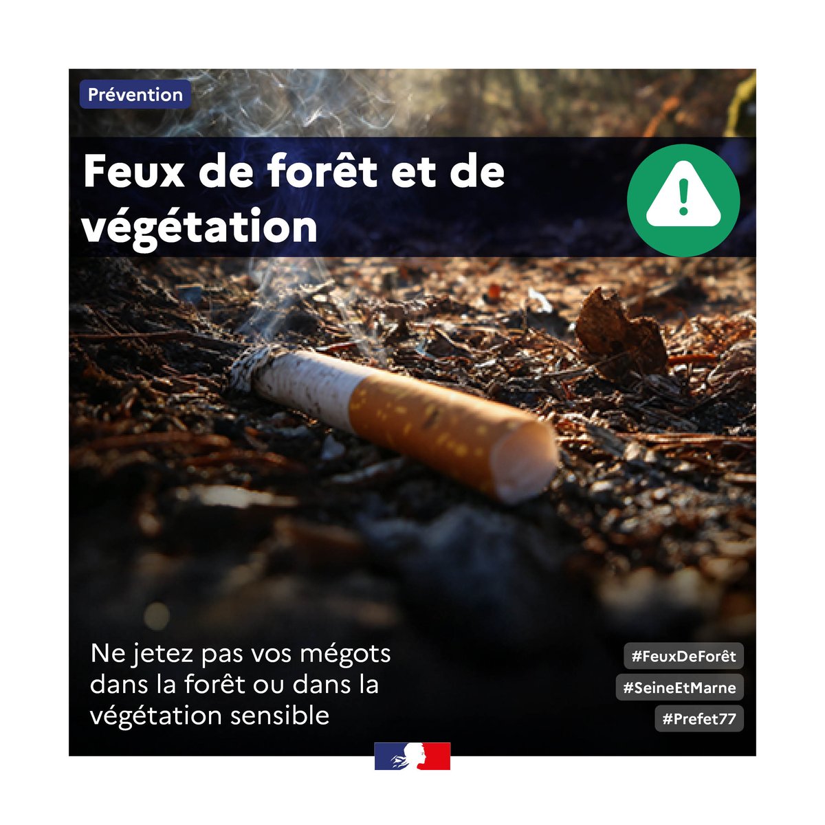 Prefet77's tweet photo. #FeuxDeForêt #prévention 🔥 | Les fortes chaleurs progressent en Ile-de-France. Le long week-end de l'Assomption sera propice aux balades forestières pour quérir de la fraîcheur.
☑️Pour éviter tout départ de feu lors de vos promenades, soyez vigilants. 
@Sdis77 https://t.co/3WyuwjUAL8