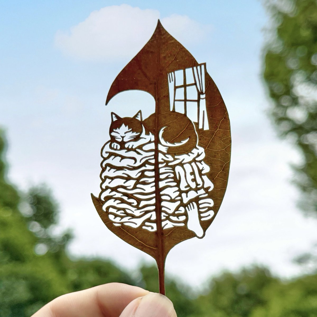 ｢お洗濯の山は今日も君のベッド｣

#山の日