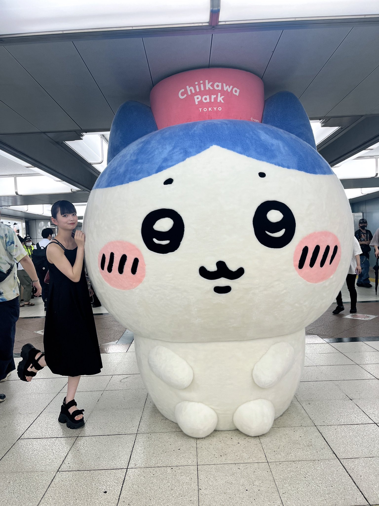 ハチワレです。41点 500101_576_103_1133_ck-2025-